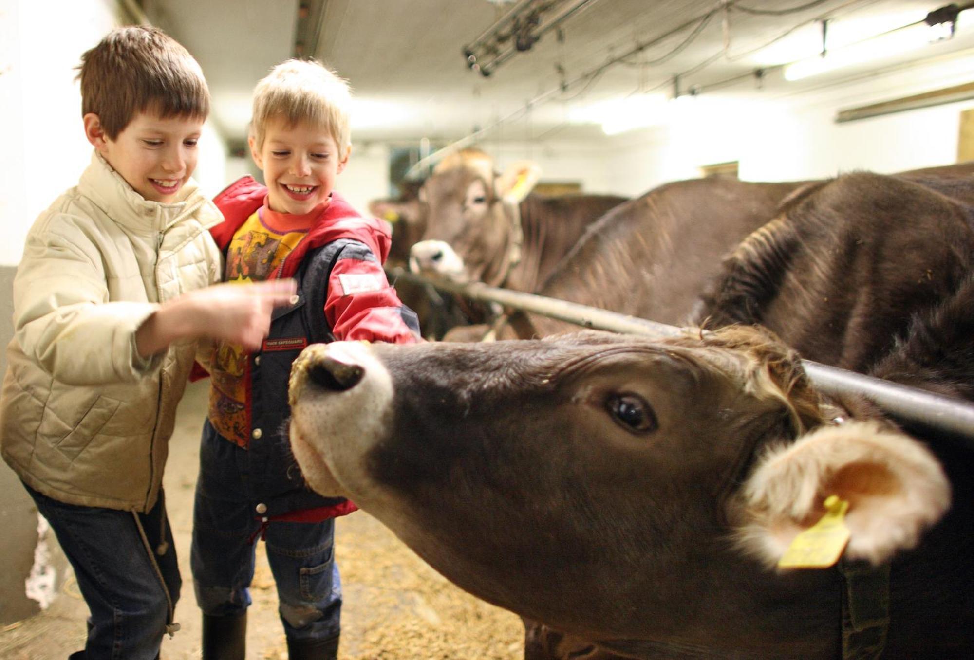 Kinderbauernhof Leneler Arzl im Pitztal Bagian luar foto