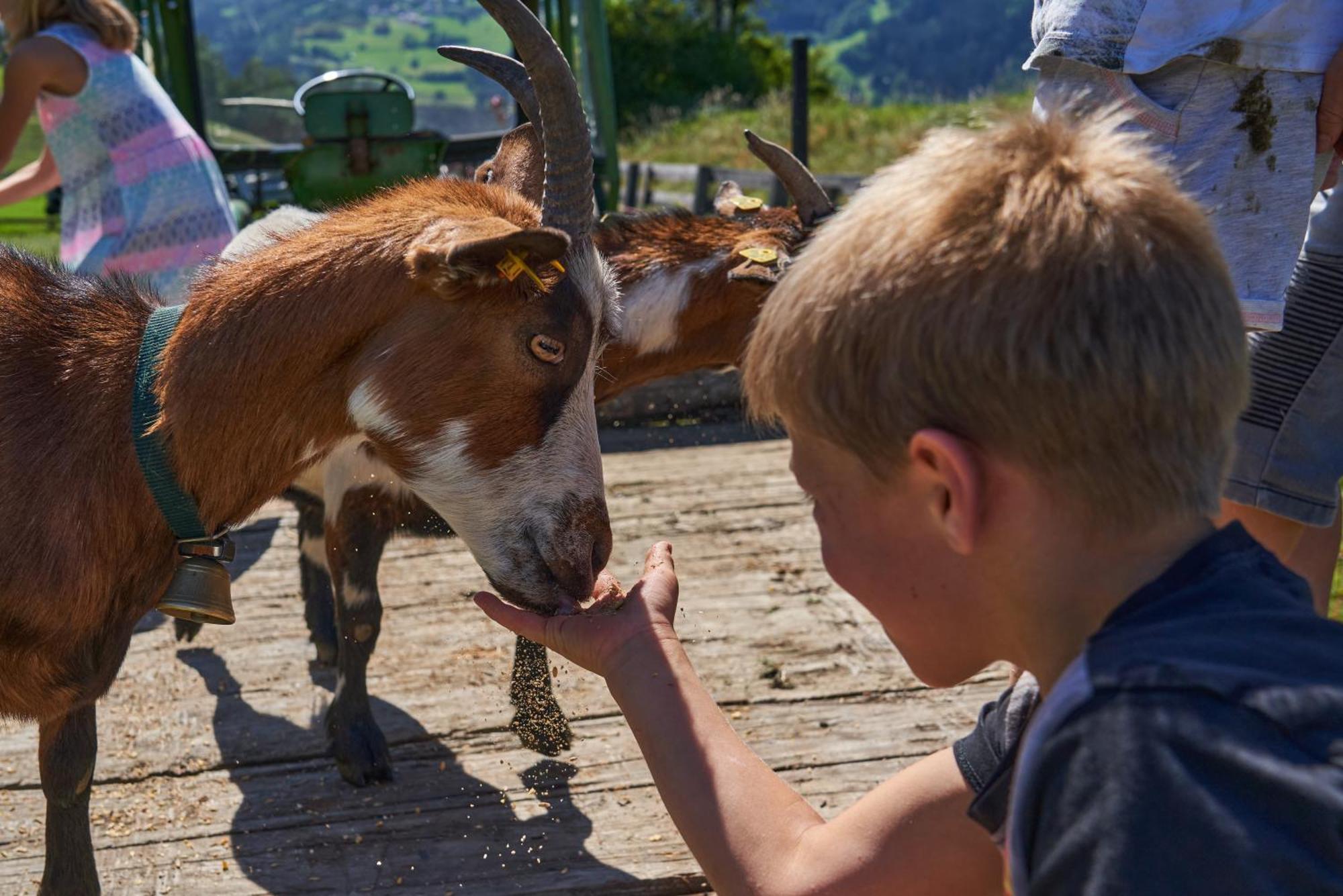 Kinderbauernhof Leneler Arzl im Pitztal Bagian luar foto
